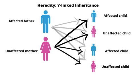 Hereditary, explained: what does it all mean, and what was in .